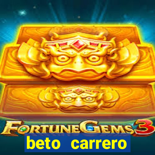 beto carrero cidades proximas